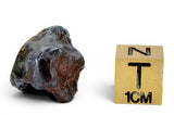 6.72g GRIZIM 003 Pallasite Meteorite
