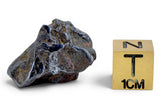 6.72g GRIZIM 003 Pallasite Meteorite