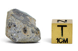 8.50g Howardite HED Achondrite I Amazing Meteorite from Vesta with fusion crust I NWA 18047