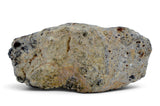 8.50g Howardite HED Achondrite I Amazing Meteorite from Vesta with fusion crust I NWA 18047