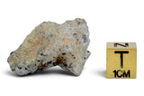 8.50g Howardite HED Achondrite I Amazing Meteorite from Vesta with fusion crust I NWA 18047