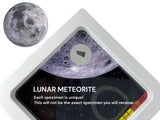 Lunar Meteorite in Display