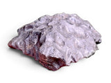 1992.5g Kaalijärv Historic Ancient Iron Meteorite  I IAB-MG Iron