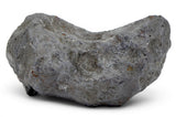 777.5g KAALIJÄRV Historic Ancient Iron Meteorite  I IAB-MG Iron