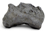 777.5g KAALIJÄRV Historic Ancient Iron Meteorite  I IAB-MG Iron