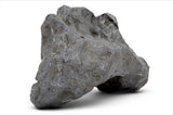 777.5g KAALIJÄRV Historic Ancient Iron Meteorite  I IAB-MG Iron
