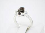 Stella Gemella I Lunar Meteorite Ring I Size 7 I Meteorite Jewelry
