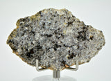 10.58g Ksar Ghilane 022 Slice Achondrite Ungrouped Meteorite Suspected to be from Mercury