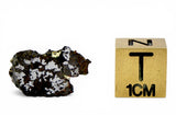 1.064g LAMONT Mesosiderite I Meteorite slice