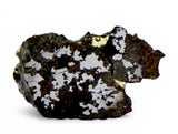 1.064g LAMONT Mesosiderite I Meteorite slice