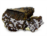 1.064g LAMONT Mesosiderite I Meteorite slice