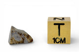 0.51g Lunar Fragmental Breccia Meteorite piece I NWA 16530
