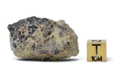 13.6g Howardite HED Achondrite I Amazing Meteorite from Vesta I NWA 18047