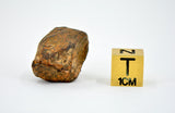 21.33 gram MUNDRABILLA meteorite - Iron Meteorite