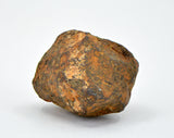 21.33 gram MUNDRABILLA meteorite - Iron Meteorite