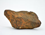 24.96 gram MUNDRABILLA meteorite - Iron Meteorite