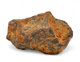31.47 gram MUNDRABILLA meteorite - Iron Meteorite