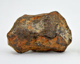 31.47 gram MUNDRABILLA meteorite - Iron Meteorite