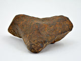 53.83 gram MUNDRABILLA meteorite - Iron Meteorite