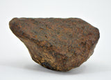 43.75 gram MUNDRABILLA meteorite - Iron Meteorite