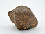 43.75 gram MUNDRABILLA meteorite - Iron Meteorite