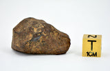 43.75 gram MUNDRABILLA meteorite - Iron Meteorite