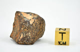 45.54 gram MUNDRABILLA meteorite - Iron Meteorite