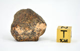 45.54 gram MUNDRABILLA meteorite - Iron Meteorite