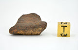 38.79 gram MUNDRABILLA meteorite - Iron Meteorite