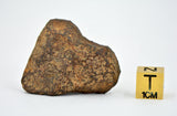 38.79 gram MUNDRABILLA meteorite - Iron Meteorite