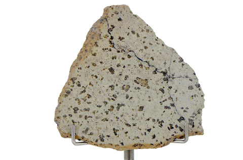 16.77g TARKINT 001 Martian Meteorite Shergottite slice