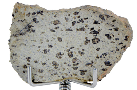 6.76g TARKINT 001 Martian Meteorite Shergottite slice