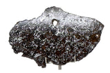 47.5g Mesosiderite - A3 Meteorite slice I NWA 14518