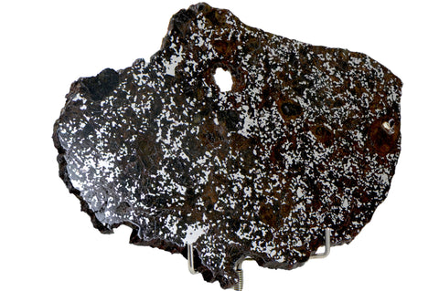 47.5g Mesosiderite - A3 Meteorite slice I NWA 14518