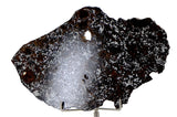 47.5g Mesosiderite - A3 Meteorite slice I NWA 14518