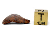 5.01g AGOUDAL Oriented Meteorite I IIAB Iron Meteorite