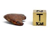 5.01g AGOUDAL Oriented Meteorite I IIAB Iron Meteorite