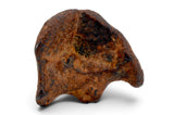 5.01g AGOUDAL Oriented Meteorite I IIAB Iron Meteorite