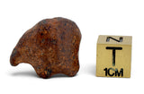 5.01g AGOUDAL Oriented Meteorite I IIAB Iron Meteorite
