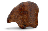 5.01g AGOUDAL Oriented Meteorite I IIAB Iron Meteorite