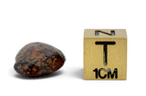 5.46g AGOUDAL Oriented Meteorite I IIAB Iron Meteorite