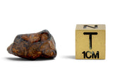 10.09g AGOUDAL Iron Meteorite I IIAB Iron