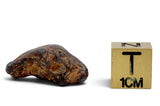 10.26g AGOUDAL Iron Meteorite I IIAB Iron