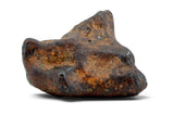10.26g AGOUDAL Iron Meteorite I IIAB Iron