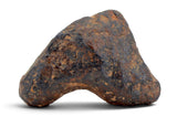 13.01g AGOUDAL Iron Meteorite I IIAB Iron