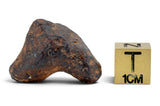 13.01g AGOUDAL Iron Meteorite I IIAB Iron