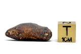 13.01g AGOUDAL Iron Meteorite I IIAB Iron
