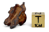 7.05g AGOUDAL Iron Meteorite I IIAB Iron