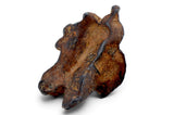 7.05g AGOUDAL Iron Meteorite I IIAB Iron