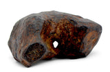 8.18g AGOUDAL Iron Meteorite with natural hole I IIAB Iron